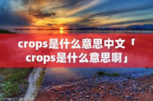 crops是什么意思中文「crops是什么意思啊」 crops是什么意思中文「crops是什么意思啊」