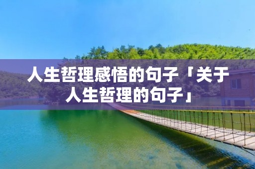 人生哲理感悟的句子「关于人生哲理的句子」
