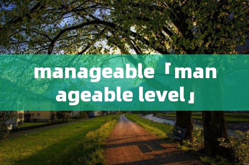 manageable「manageable level」