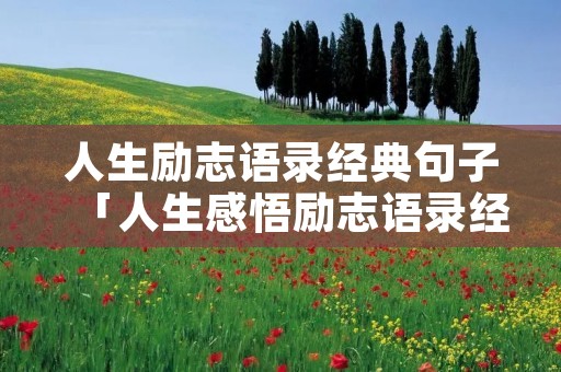 人生励志语录经典句子「人生感悟励志语录经典句子」