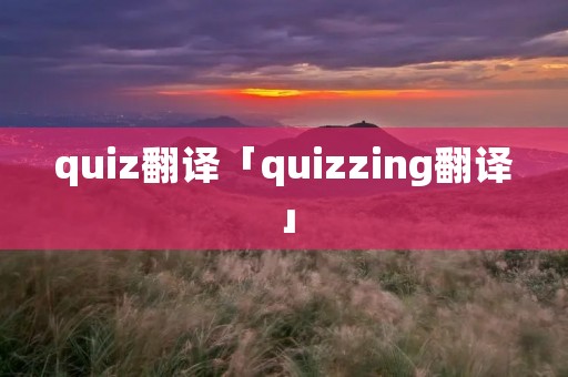 quiz翻译「quizzing翻译」