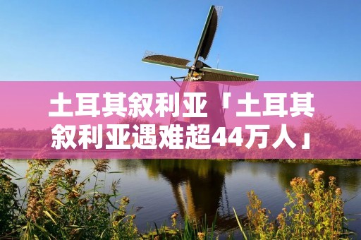 土耳其叙利亚「土耳其叙利亚遇难超44万人」