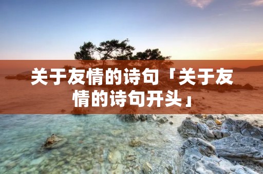 关于友情的诗句「关于友情的诗句开头」