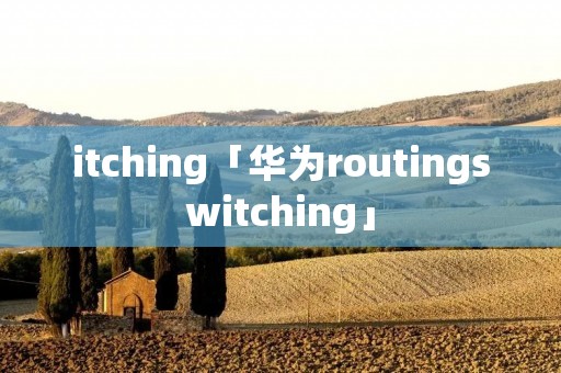 itching「华为routingswitching」
