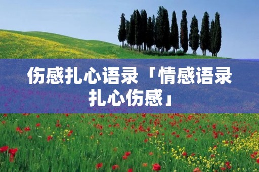 伤感扎心语录「情感语录扎心伤感」