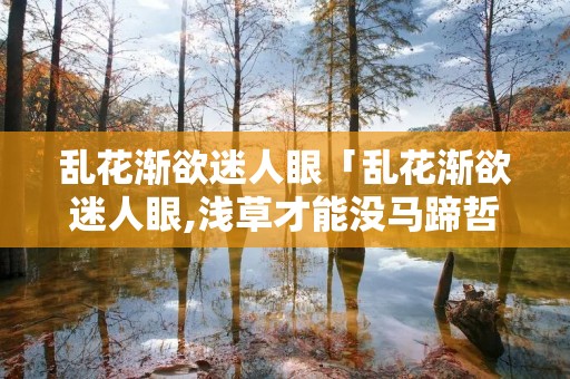 乱花渐欲迷人眼「乱花渐欲迷人眼,浅草才能没马蹄哲理」