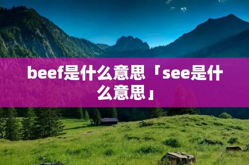 beef是什么意思「see是什么意思」