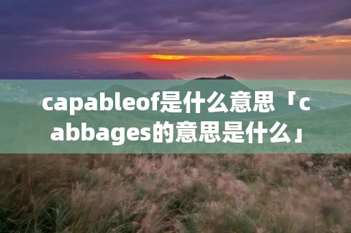 capableof是什么意思「cabbages的意思是什么」