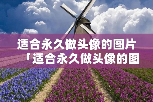 适合永久做头像的图片「适合永久做头像的图片简约」