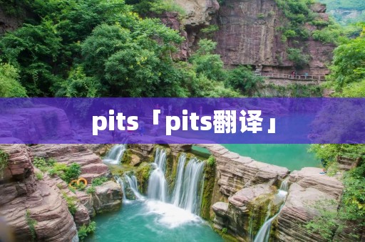 pits「pits翻译」 pits「pits翻译」