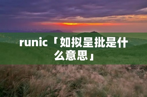 runic「如拟呈批是什么意思」