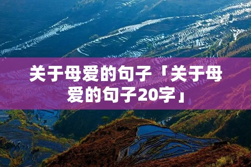 关于母爱的句子「关于母爱的句子20字」