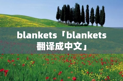 blankets「blankets翻译成中文」