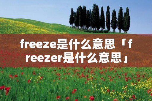 freeze是什么意思「freezer是什么意思」