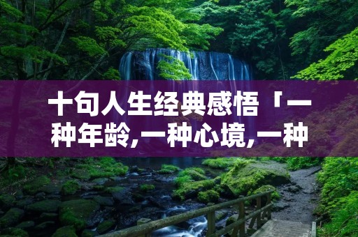 十句人生经典感悟「一种年龄,一种心境,一种领悟」