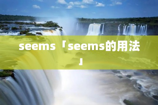 seems「seems的用法」