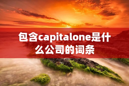 包含capitalone是什么公司的词条