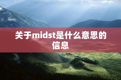 关于midst是什么意思的信息