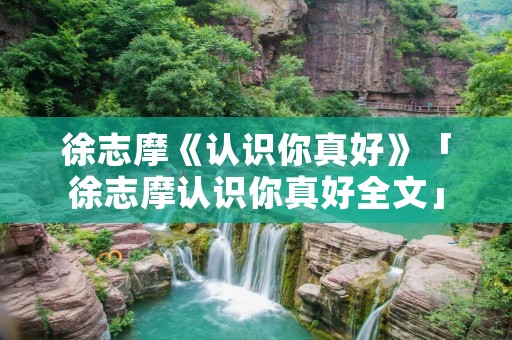 徐志摩《认识你真好》「徐志摩认识你真好全文」
