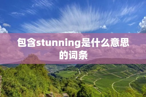 包含stunning是什么意思的词条 包含stunning是什么意思的词条
