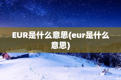 EUR是什么意思(eur是什么意思)