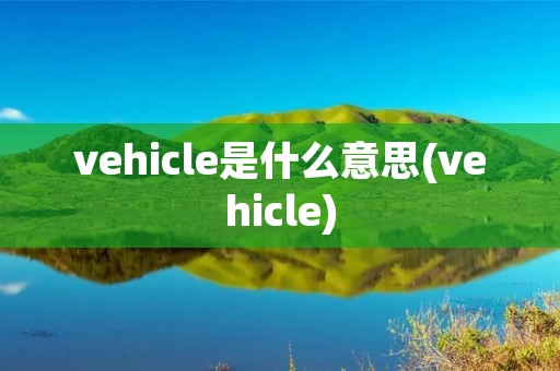 vehicle是什么意思(vehicle)