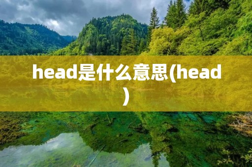 head是什么意思(head)