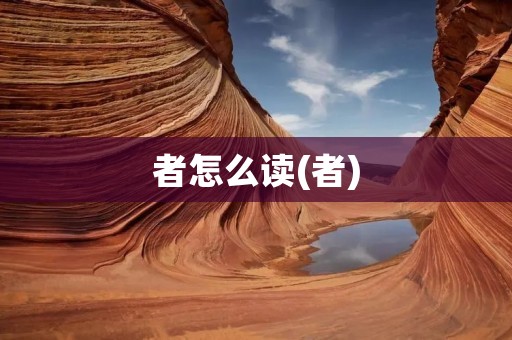 者怎么读(者)