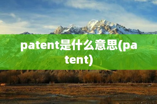 patent是什么意思(patent)