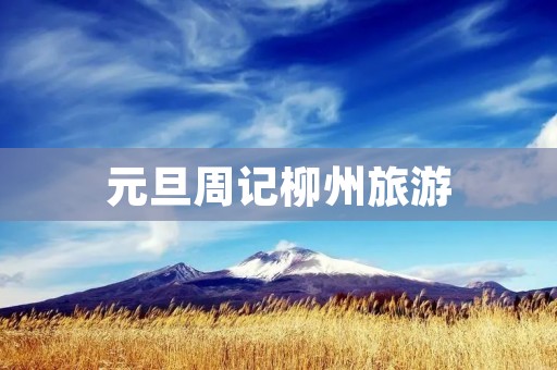 元旦周记柳州旅游