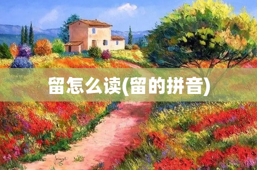 留怎么读(留的拼音)