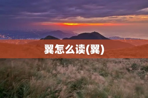 翼怎么读(翼)