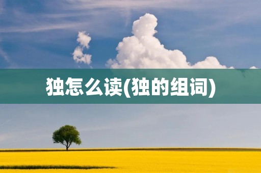 独怎么读(独的组词)