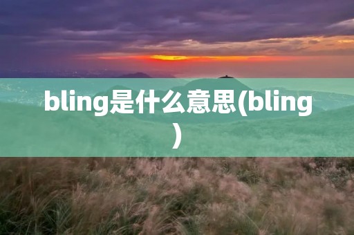 bling是什么意思(bling)