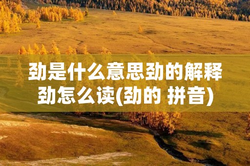 劲是什么意思劲的解释劲怎么读(劲的 拼音)