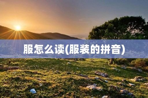 服怎么读(服装的拼音)