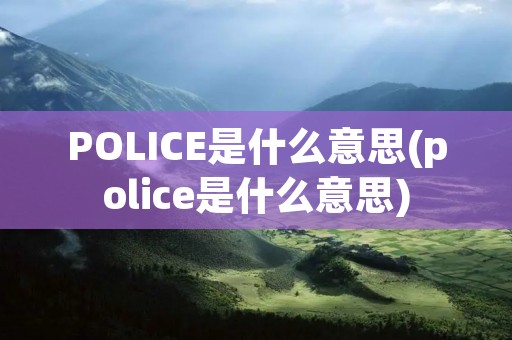 POLICE是什么意思(police是什么意思)