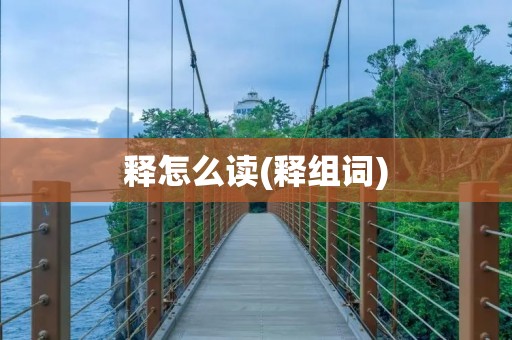 释怎么读(释组词)
