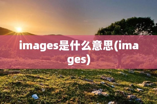 images是什么意思(images)