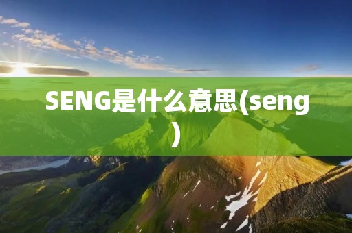 SENG是什么意思(seng)