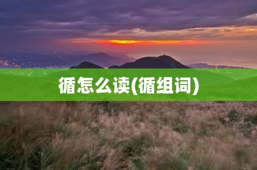 循怎么读(循组词)