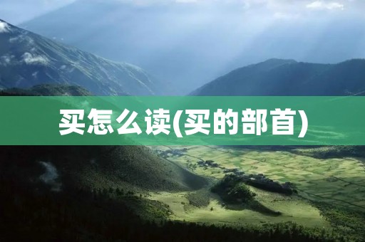 买怎么读(买的部首)
