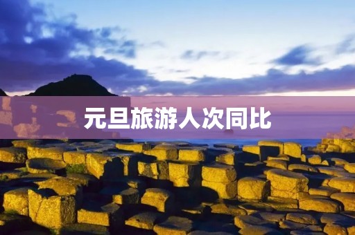 元旦旅游人次同比