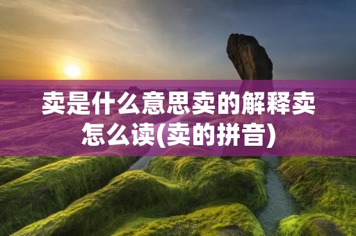 卖是什么意思卖的解释卖怎么读(卖的拼音)