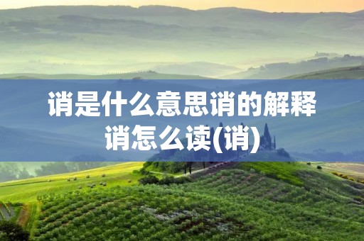 诮是什么意思诮的解释诮怎么读(诮) 诮是什么意思诮的解释诮怎么读(诮)