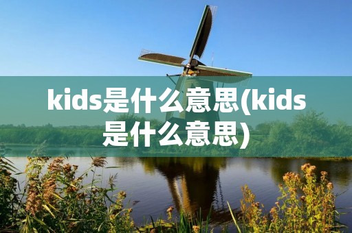 kids是什么意思(kids是什么意思)