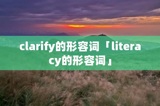 clarify的形容词「literacy的形容词」