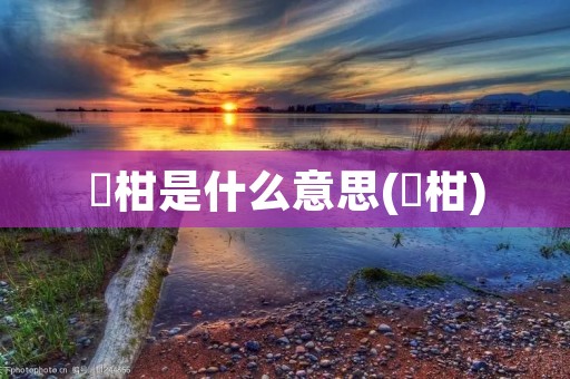 椪柑是什么意思(椪柑)