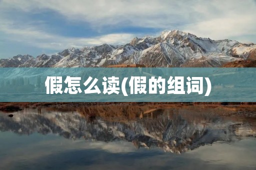 假怎么读(假的组词)