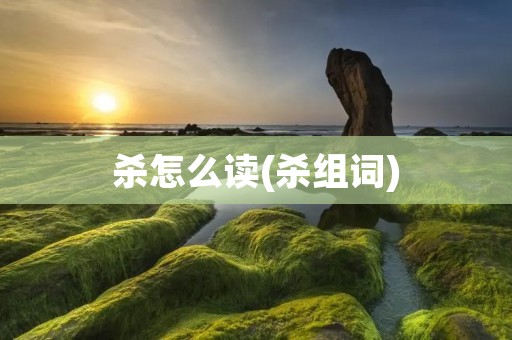 杀怎么读(杀组词)